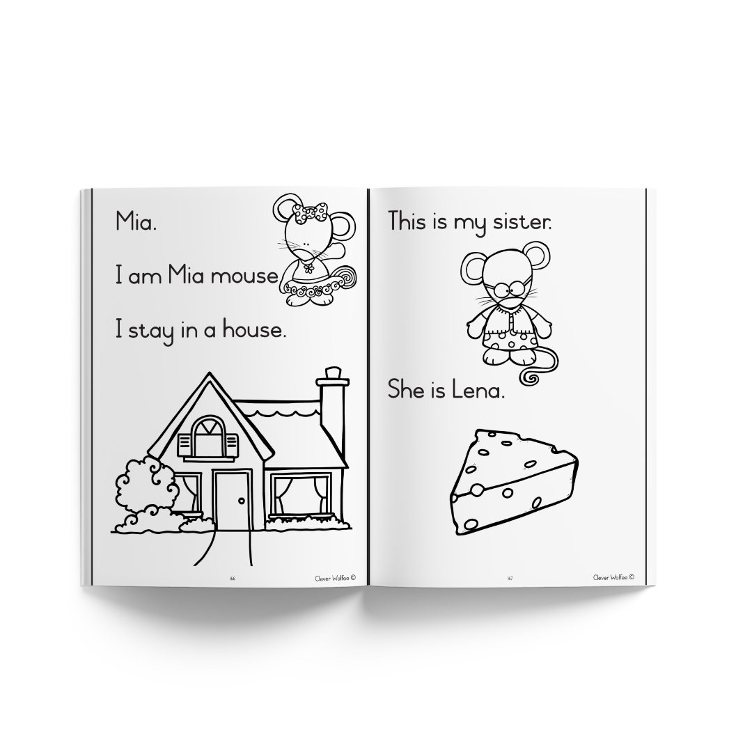 I am learning about phonics and building words - Image 11