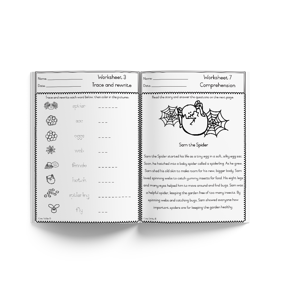 Themed book - Life Cycle: Spider - Image 3