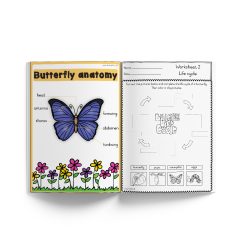 Alternative view of Themed book - Life Cycle: Butterfly