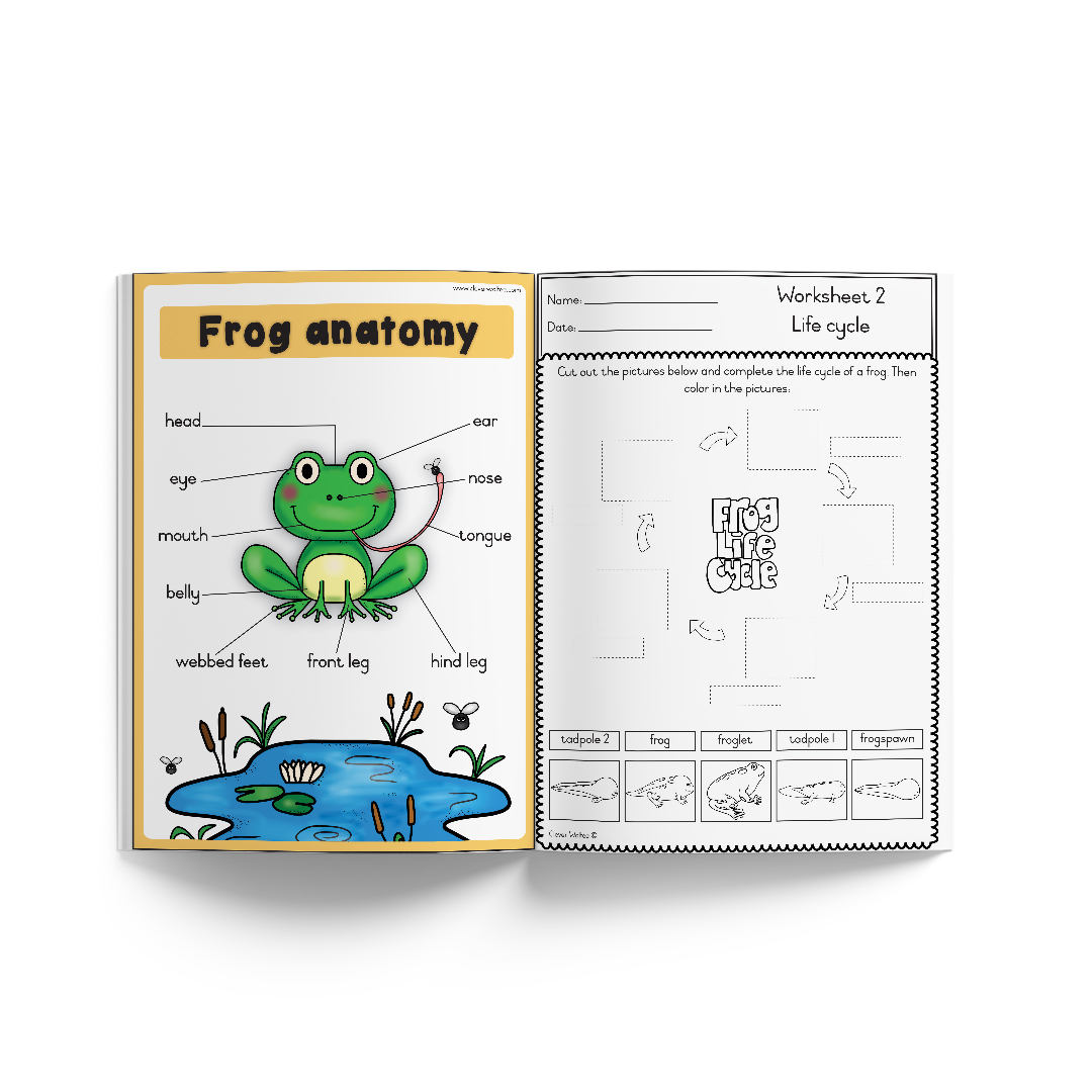 Themed book - Life Cycle: Frog - Image 2