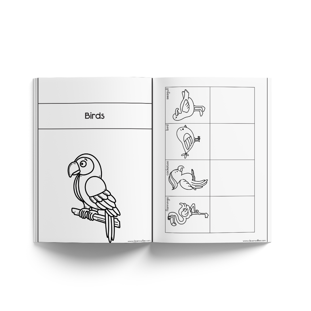 Neurodiverse booklets - This is how I do it - BUNDLE 1 - Image 11