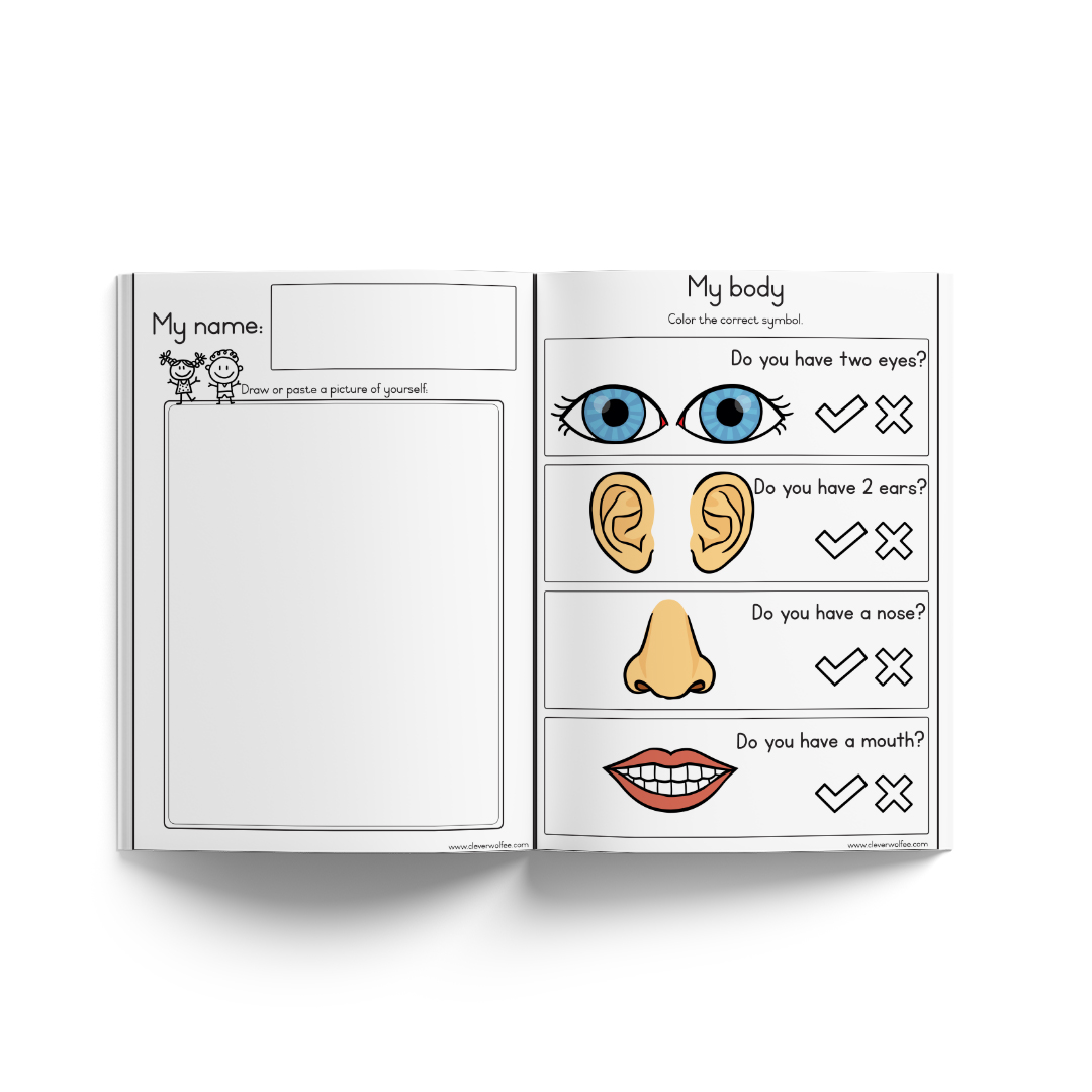 Neurodiverse booklets - This is how I do it - BUNDLE 1 - Image 87