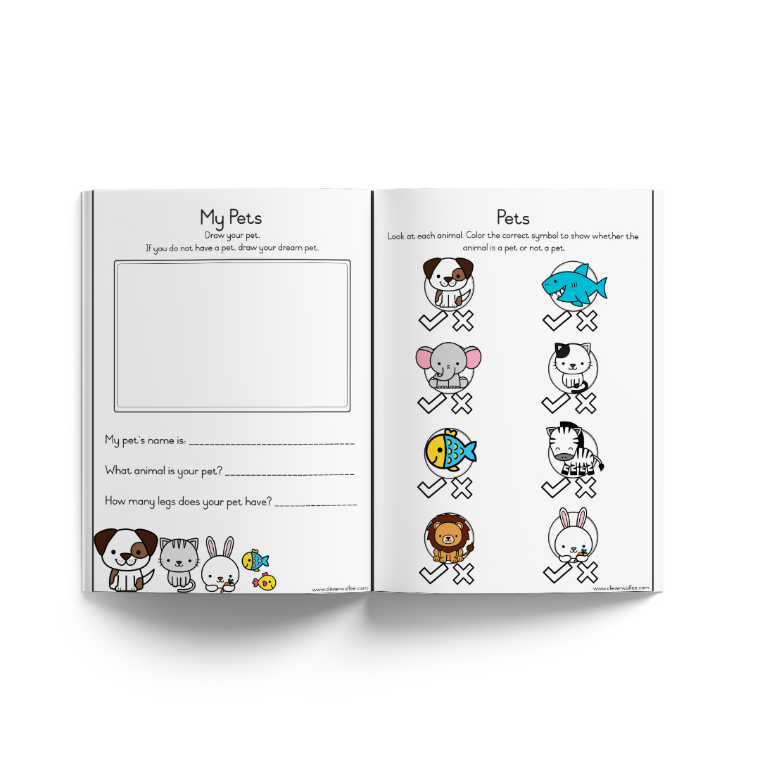 Neurodiverse booklets - This is how I do it - BUNDLE 1 - Image 76