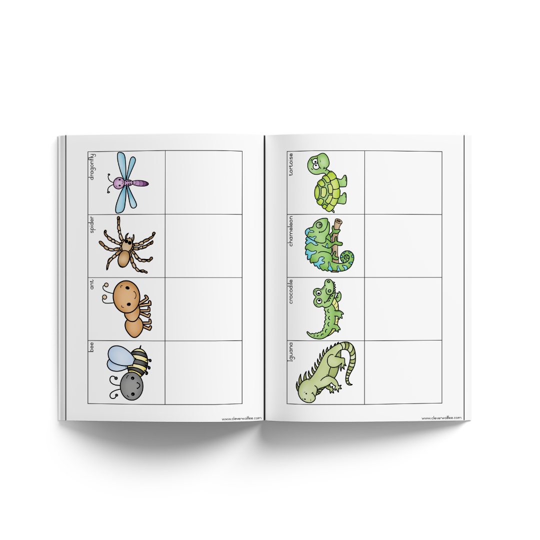 Neurodiverse booklets - This is how I do it - BUNDLE 1 - Image 10