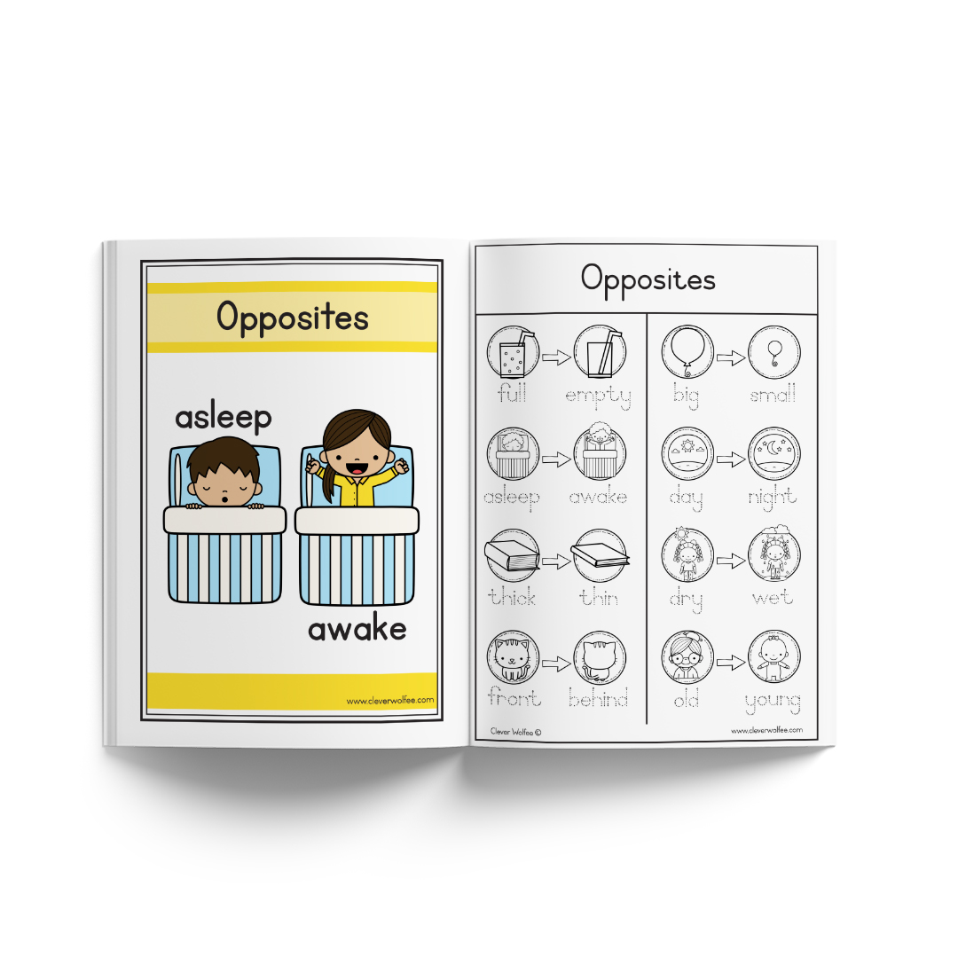 This is how I do it - Language bundle 1 + FREE Language bundle 2 - Image 12