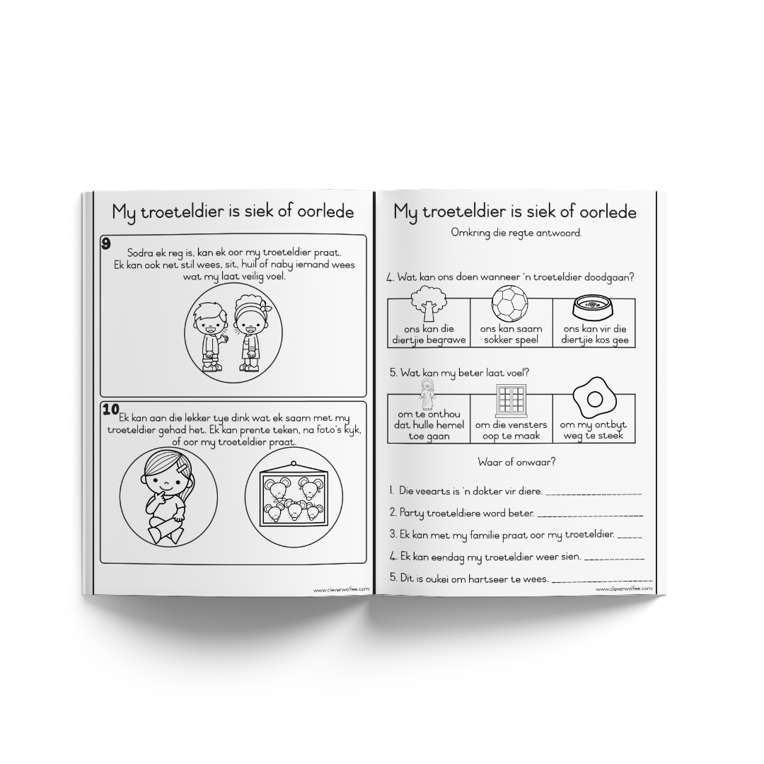 Ek doen dit só - Sosiale stories - My troeteldier is siek of oorlede - Image 4