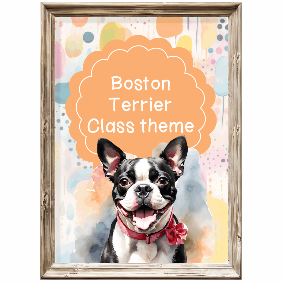 Intermediate Class Theme - Boston Terrier
